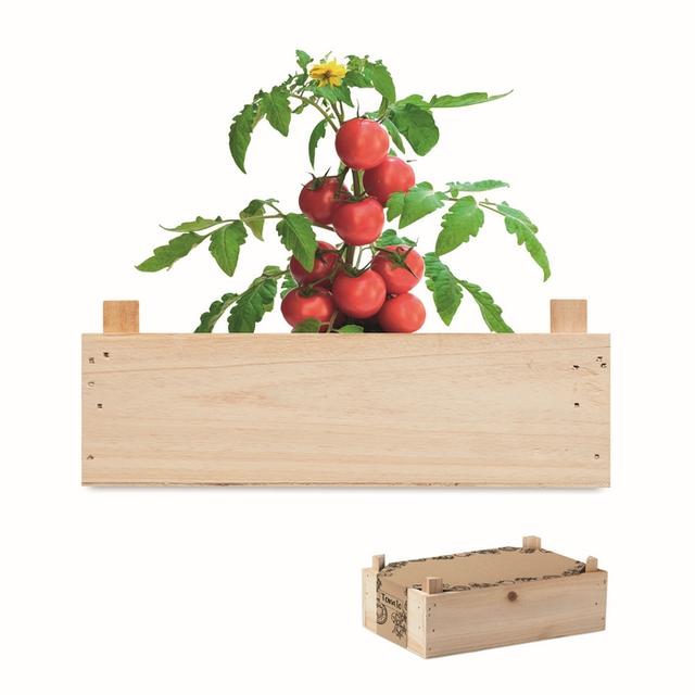 Graines de tomates dans TOMATO