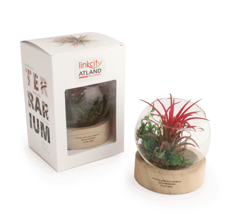 PL26E_NATUR-BOISSIERE_1946_APIC