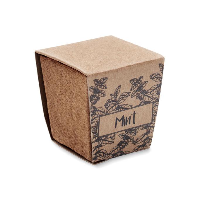 Kit de graines de menthe MINT KIT