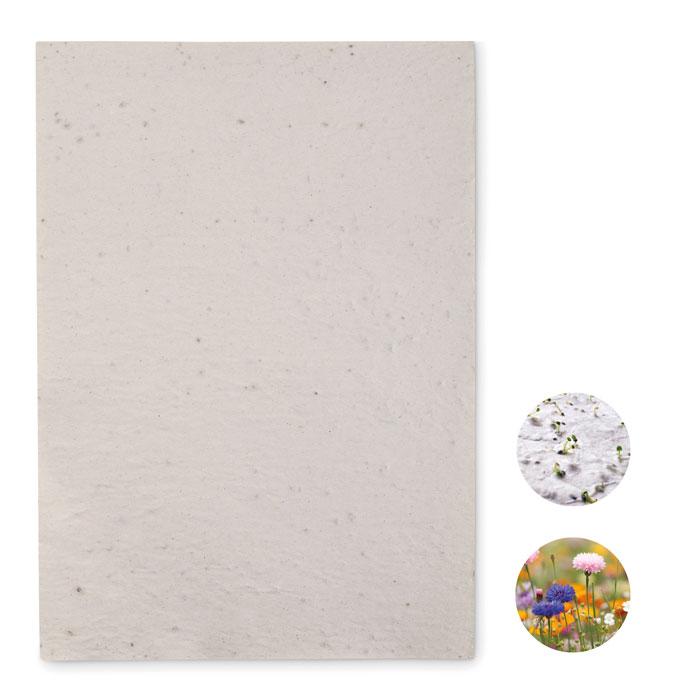 Papier A4 graines de fleurs ASIDI