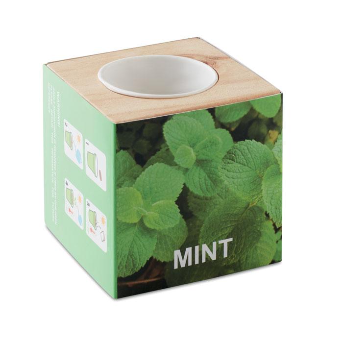 Pot en bois avec graine Menthe MENTA