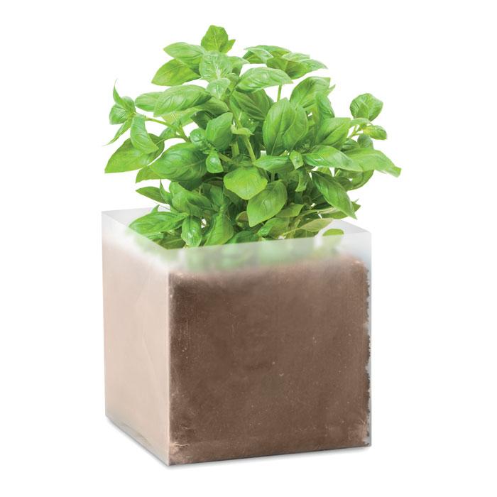Substrat avec graines Basilic. BASIL