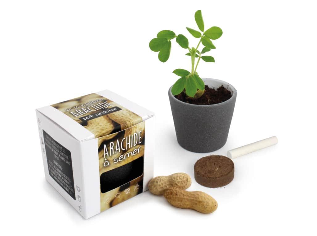 APIC - Kit de plantation ardoise 3