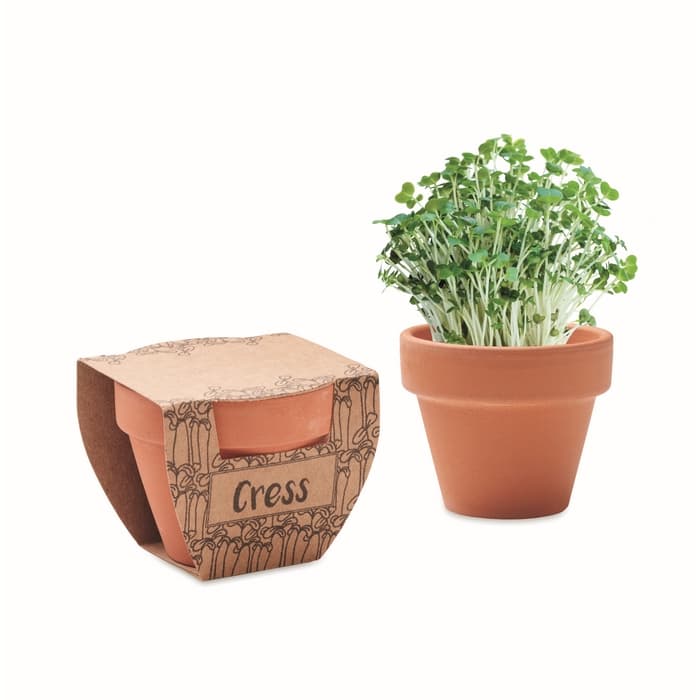 Pot avec graines de cresson CRESS POT