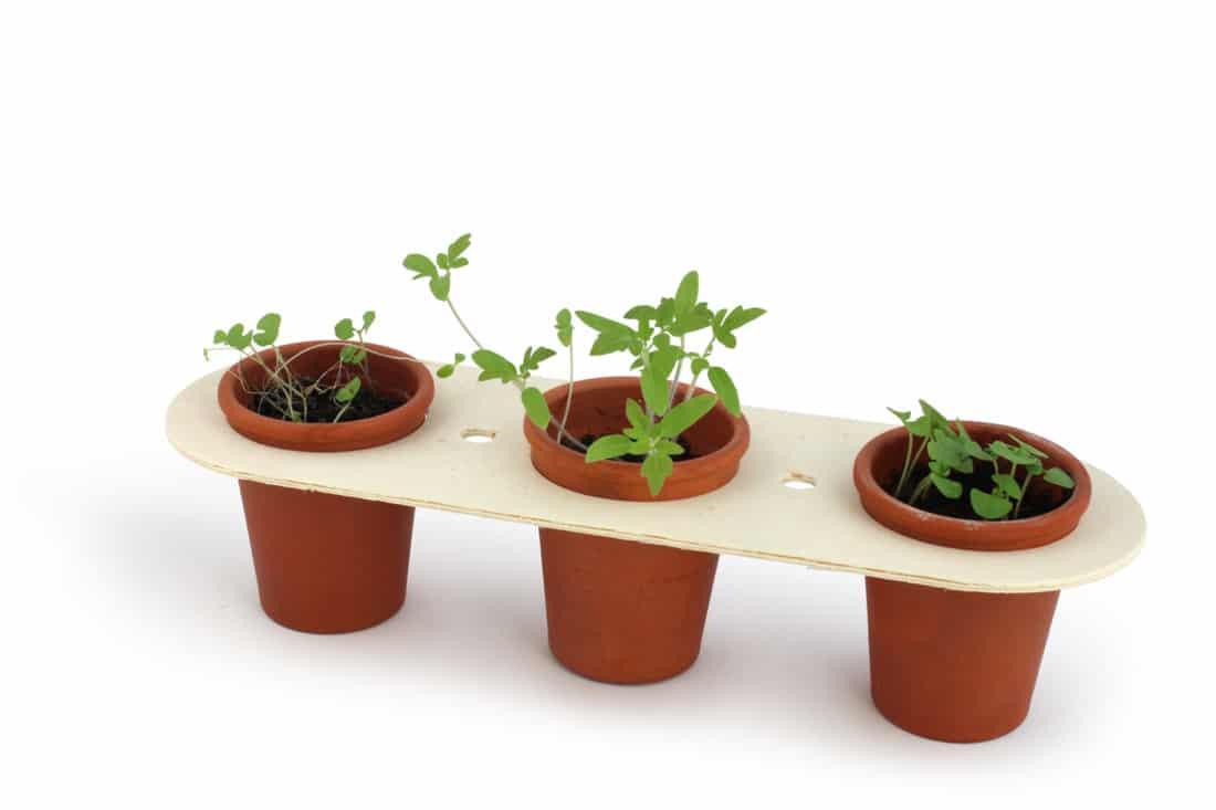 APIC - kit de plantation trio terracota personnalisé (4)