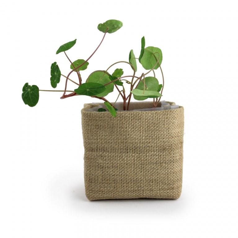 APIC - Kit-pocket-coco-jute-personalisé (2)