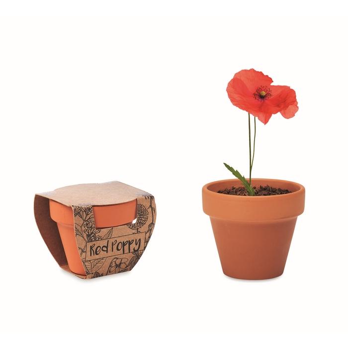 Pot graines de coquelicot RED POPPY