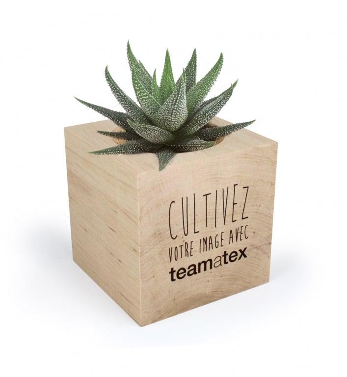 APIC-Cube bois plante personnalisé 4