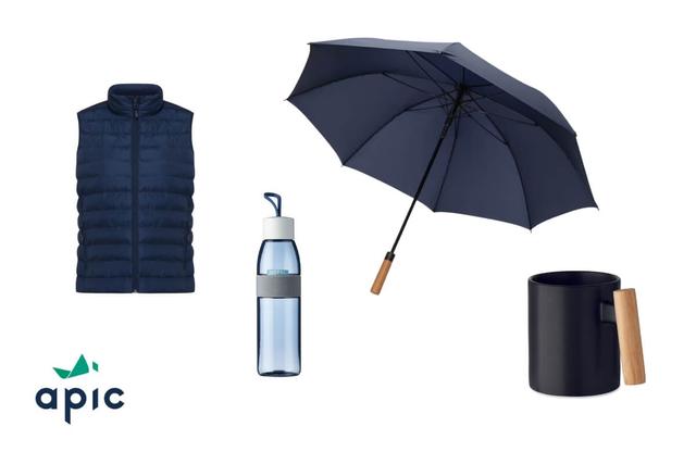 Top 10 Goodies Entreprise