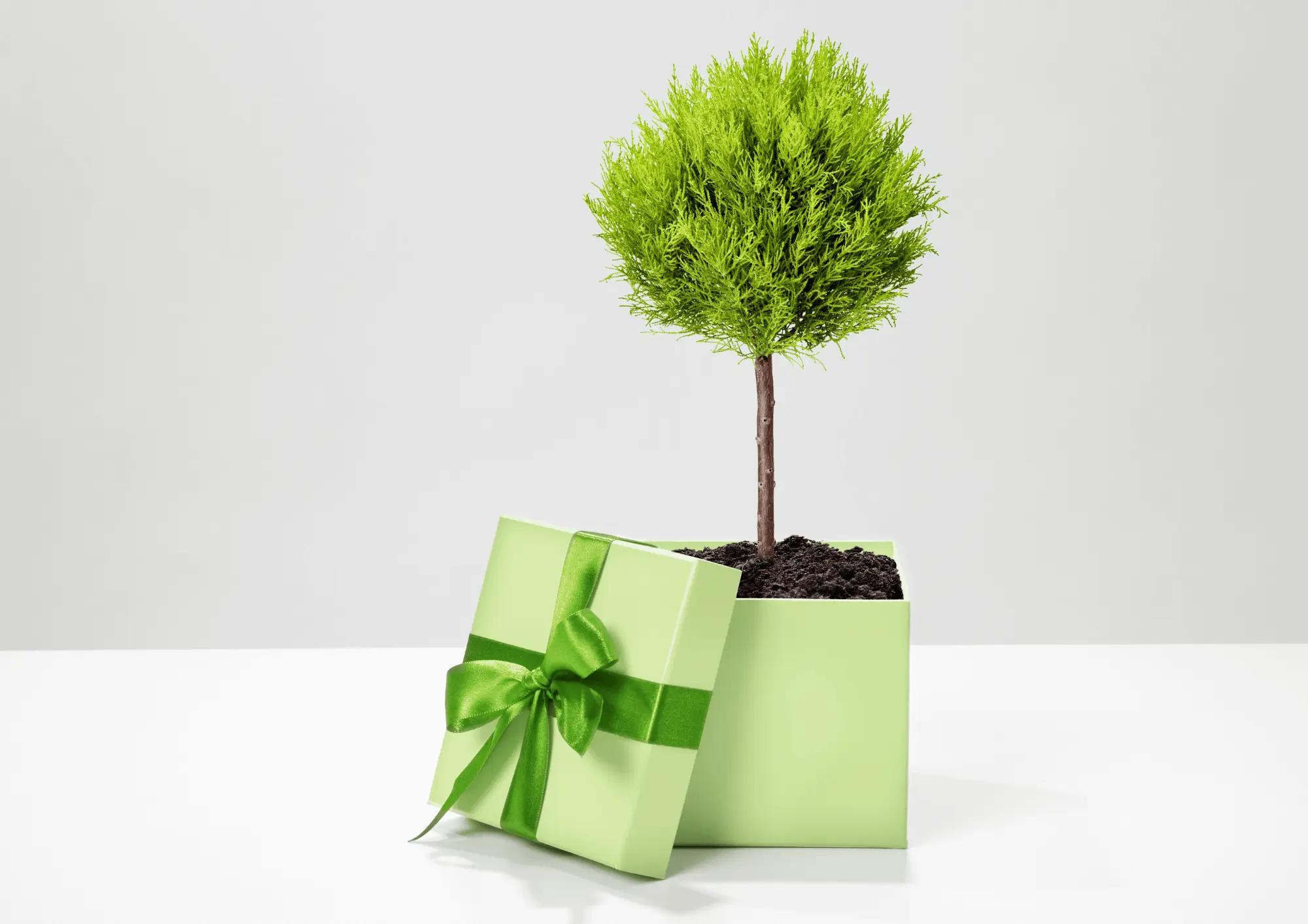 Goodies écologiques pour une politique RSE