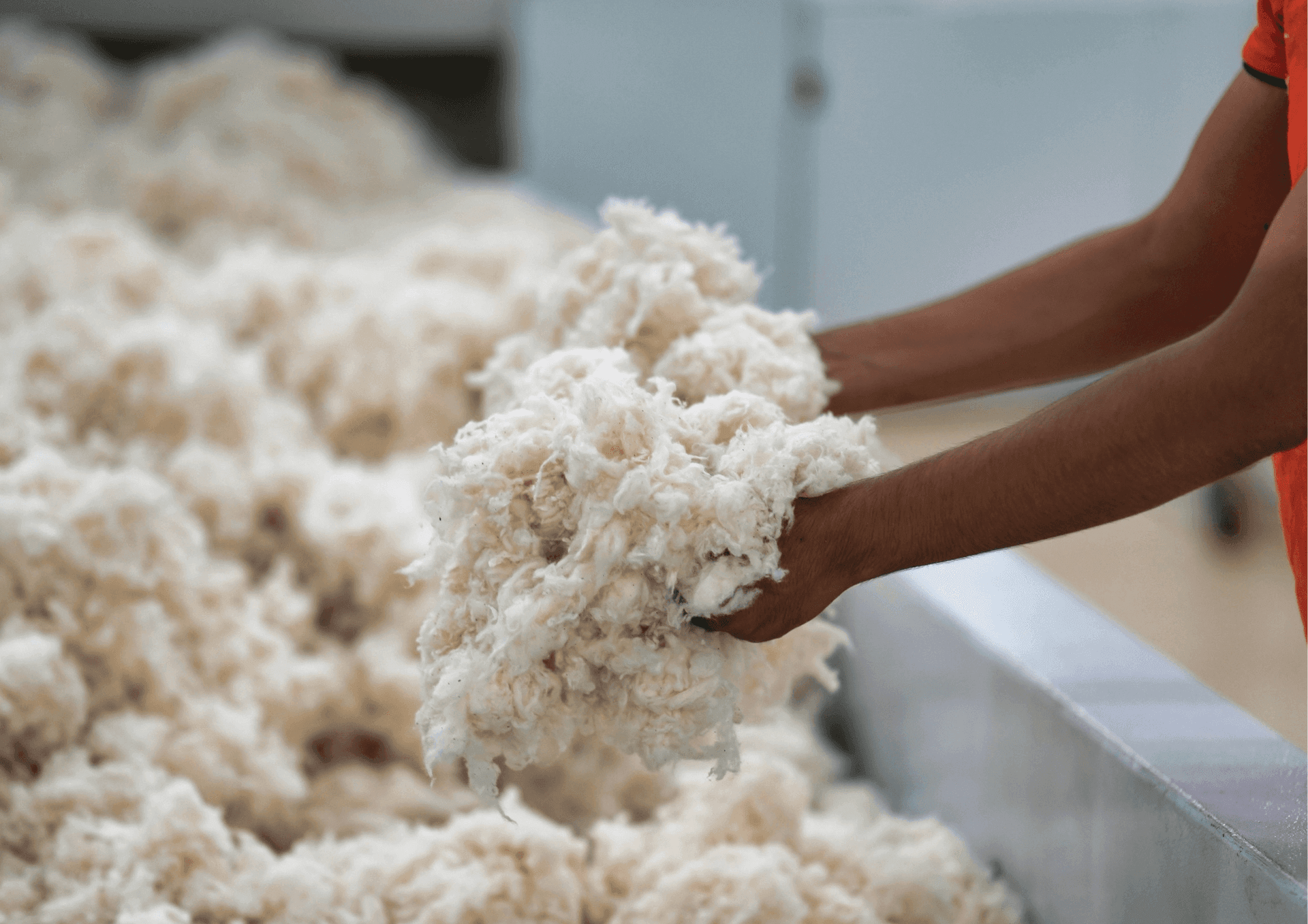 Goodies écologiques - Coton biologique Goodies écologiques - Coton biologique