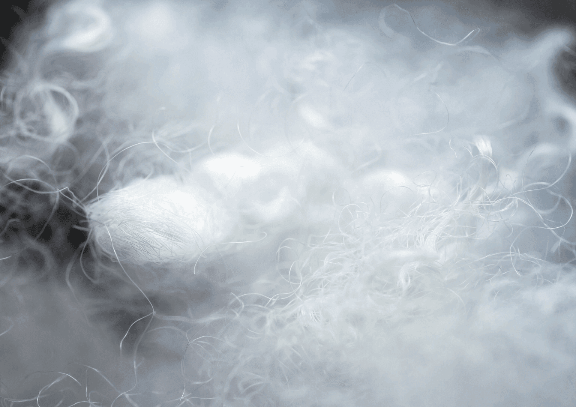 Goodies écologiques - PET recyclé Goodies écologiques - PET recyclé