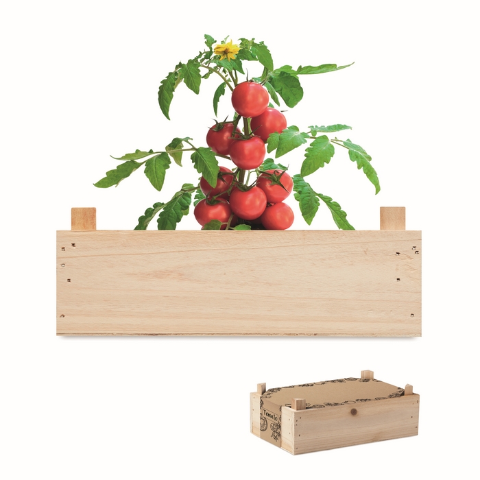 Graines de tomates dans TOMATO