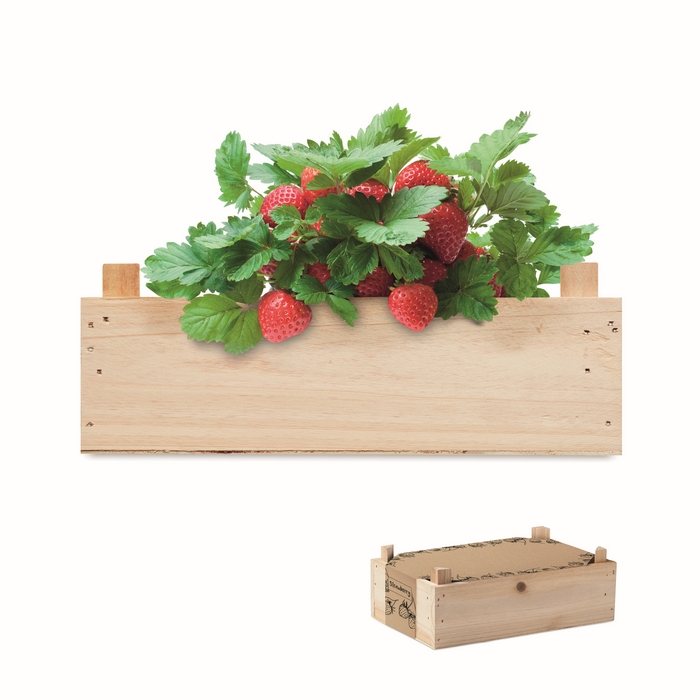 Graines de fraises dans une STRAWBERRY