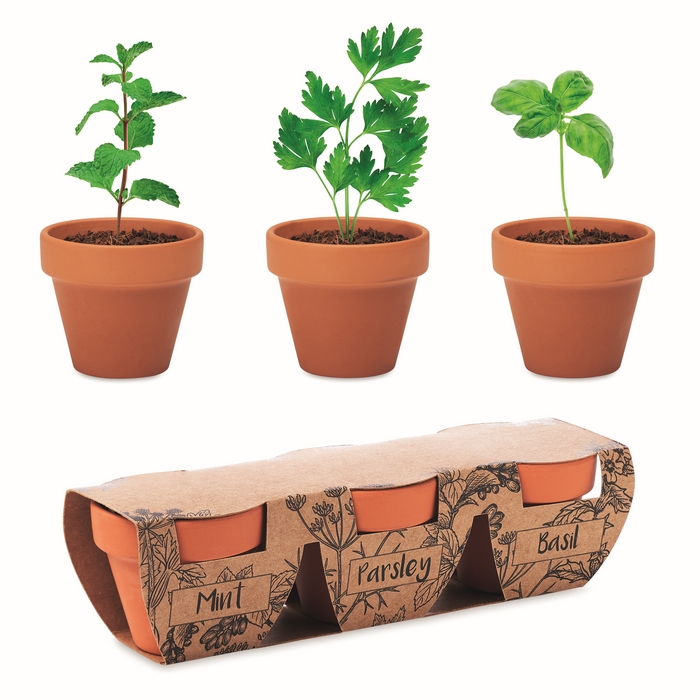 3 pots en terre FLOWERPOT